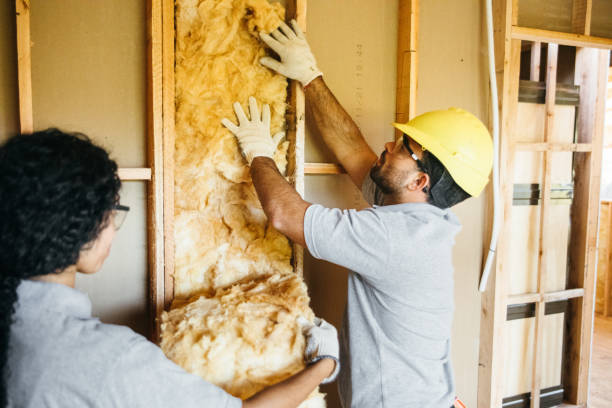 Best Commercial Insulation Services  in Willmar, MN